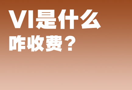 VI��ʲô?VIS��ư�����Щ��Ŀ?һ��������Ʒ���Ӿ�ʶ��ϵͳ�嵥